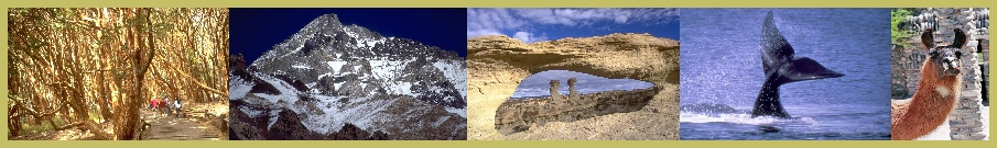 Excursiones